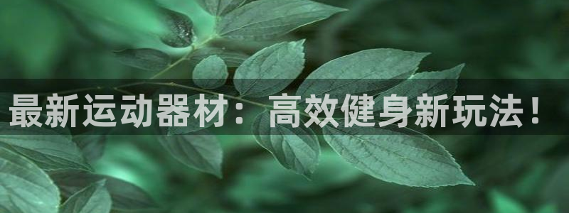 熊猫体育官网下载平台注册要钱吗是真的吗：最新运动器材：高效健