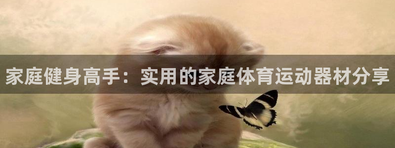 熊猫体育官网下载平台注册要钱吗：家庭健身高手：实用的家庭体育