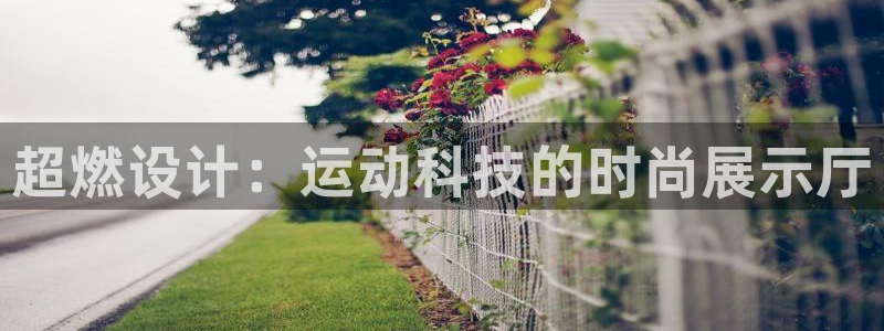 熊猫体育官网下载平台注册要钱吗安全吗：超燃设计：运动科技的时