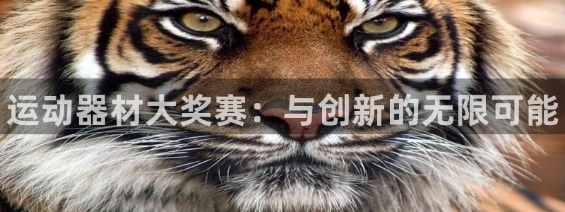 熊猫体育官网下载:运动器材大奖赛:与创新的无限可能